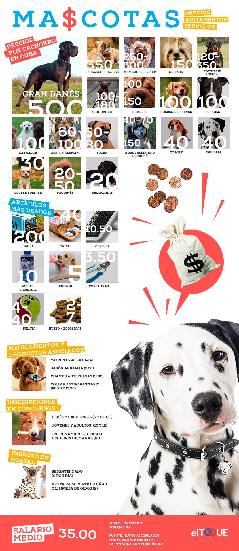 Los precios de las mascotas y los servicios y accesorios para ellas varían en Cuba. Infografía: Néstor Blanco.